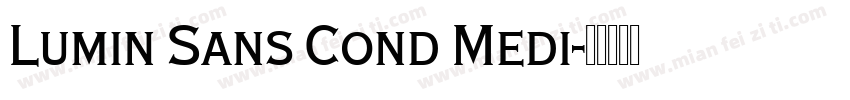 Lumin Sans Cond Medi字体转换